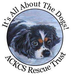 Cavalier Rescue 2025