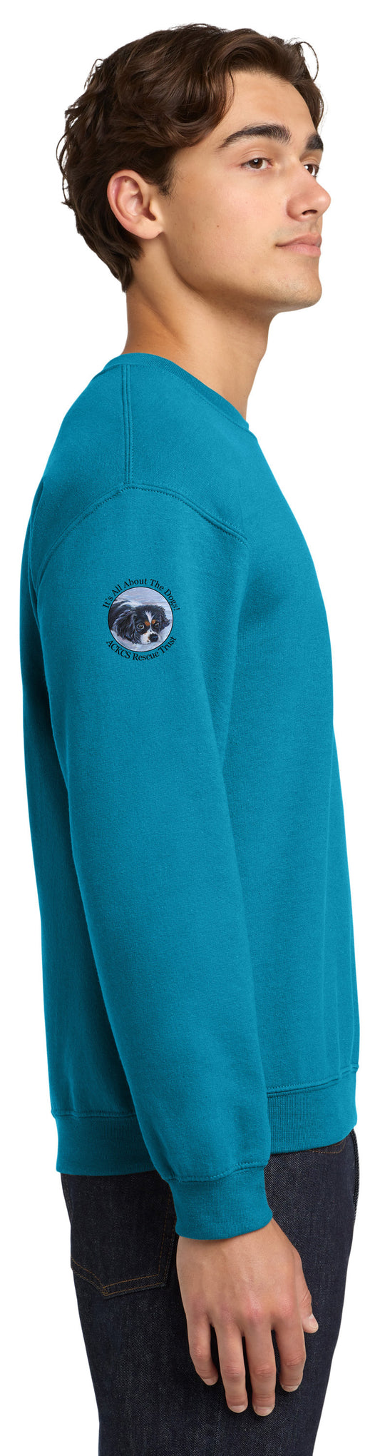 Cavalier Rescue - Gildan - Heavy Blend Crewneck Sweatshirt. 18000